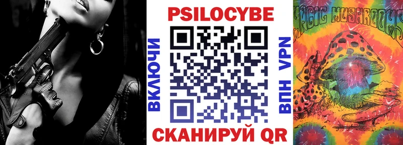 где купить наркоту Баксан Псилоцибиновые грибы Psilocybine cubensis